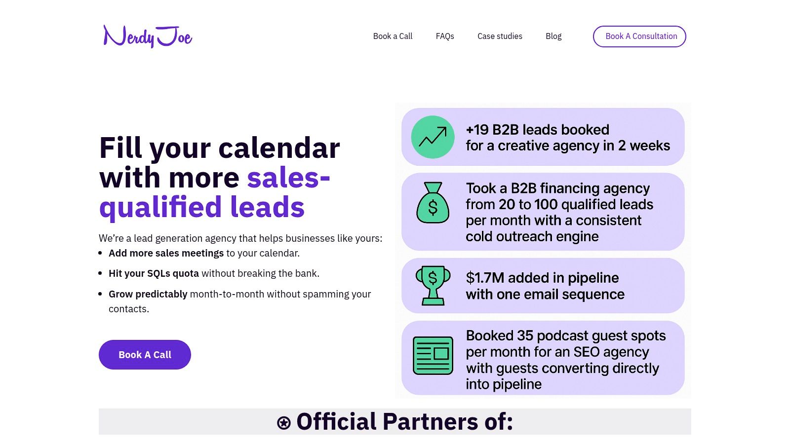 Nerdy Joe website screenshot highlighting their focus on cold email for B2B companies